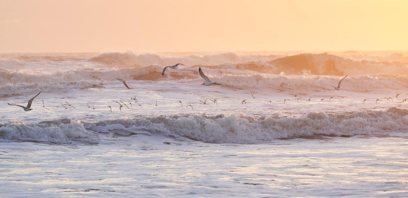 The Maverick Ormond Beach Dış mekan fotoğraf